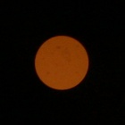 Ecotone AD-7 10x50 DCF - Winietowanie centralne - Prawy