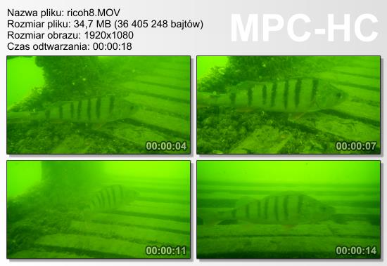 Test aparatw podwodnych 2014 - cz III - Ricoh WG-4