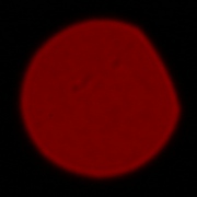 Sigma C 150-600 mm f/5-6.3 DG OS HSM - Koma, astygmatyzm i bokeh