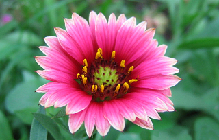 Monitor dla fotografa  - cz�� I : kolor i barwa - Ko�o barw