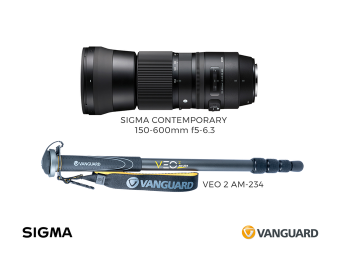 Lampy Profoto i obiektywy Sigma w promocji Lampy Profoto i obiektywy Sigma w promocji