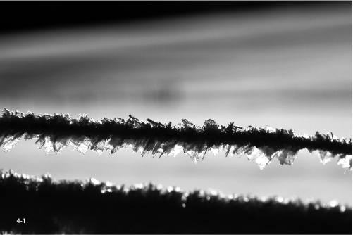 Zdj�cia makro - �wiat w powi�kszeniu - Wst�p