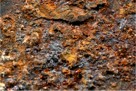 Zdj�cia makro - �wiat w powi�kszeniu - Inny spos�b patrzenia