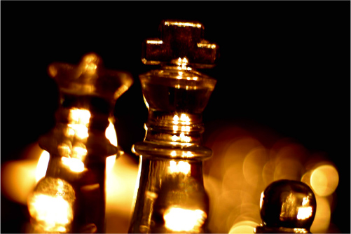 Zdj�cia makro - �wiat w powi�kszeniu - Inny spos�b patrzenia