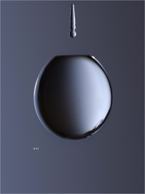 Zdj�cia makro - �wiat w powi�kszeniu - Akcja w makrofotografii