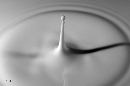 Zdj�cia makro - �wiat w powi�kszeniu - Akcja w makrofotografii