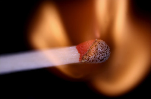 Zdj�cia makro - �wiat w powi�kszeniu - Akcja w makrofotografii