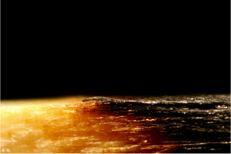 Zdj�cia makro - �wiat w powi�kszeniu - Akcja w makrofotografii