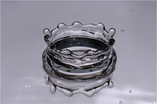 Zdj�cia makro - �wiat w powi�kszeniu - Fotografowanie l�ni�cych obiekt�w