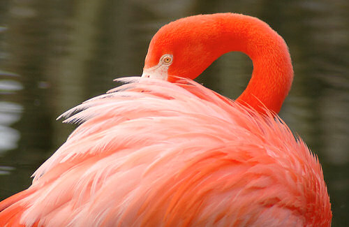 Pomiar �wiat�a - �wiat�omierze typu TTL