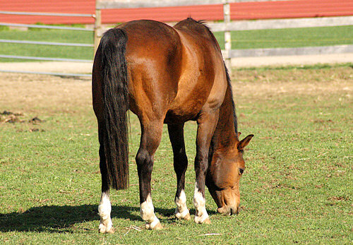 Pomiar �wiat�a - �wiat szaro�ci