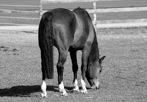 Pomiar �wiat�a - �wiat szaro�ci