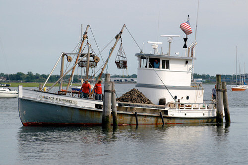 Pomiar �wiat�a - �wiat szaro�ci