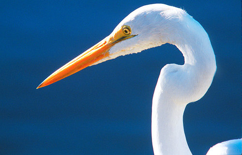 Pomiar �wiat�a - System strefowy