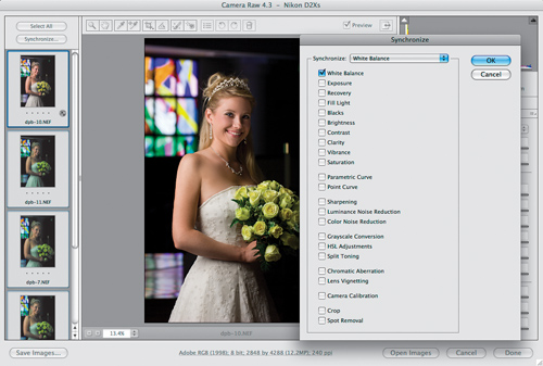 Profesjonalne zdj�cia �lubne - Kiedy nale�y fotografowa� w formacie RAW?