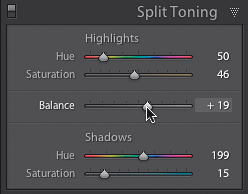 Konwersja kolorowych zdj�� na skal� szaro�ci - Barwienie czarno-bia�ych fotografii