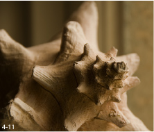 O�wietlenie podczas fotografowania wn�trz - Okno jako �r�d�o naturalngo �wiat�a