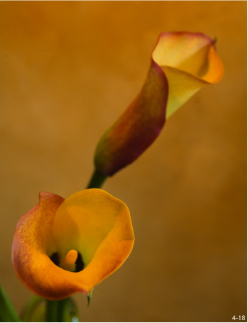 O�wietlenie podczas fotografowania wn�trz - O�wietlenie �arowe