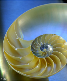 O�wietlenie podczas fotografowania wn�trz - O�wietlenie �arowe