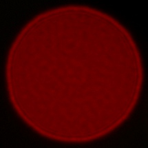 Sony FE 35 mm f/1.8 - Koma, astygmatyzm i bokeh