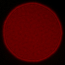 Sony FE 35 mm f/1.8 - Koma, astygmatyzm i bokeh