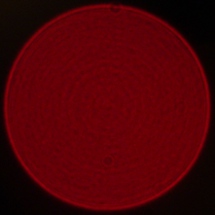 Sony FE 40 mm f/2.5 G - Koma, astygmatyzm i bokeh