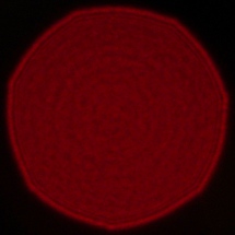 Sony FE 40 mm f/2.5 G - Koma, astygmatyzm i bokeh