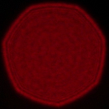 Sony FE 40 mm f/2.5 G - Koma, astygmatyzm i bokeh