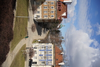 Sony FE 40 mm f/2.5 G - Zdj�cia przyk�adowe