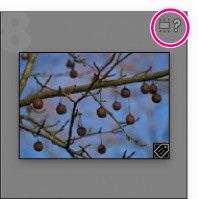 Porz�dkowanie i wybieranie zdj�� w Adobe Lightroom - Porz�dkowanie folder�w