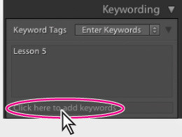 Porz�dkowanie i wybieranie zdj�� w Adobe Lightroom - Dodawanie s��w kluczowych