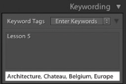 Porz�dkowanie i wybieranie zdj�� w Adobe Lightroom - Dodawanie s��w kluczowych