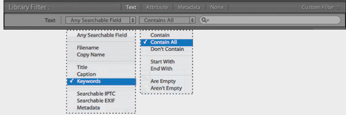 Porz�dkowanie i wybieranie zdj�� w Adobe Lightroom - Dodawanie s��w kluczowych