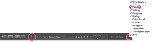 Porz�dkowanie i wybieranie zdj�� w Adobe Lightroom - Korzystanie z narz�dzia Painter