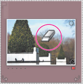 Porz�dkowanie i wybieranie zdj�� w Adobe Lightroom - Korzystanie z narz�dzia Painter