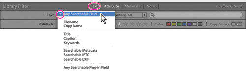 Porz�dkowanie i wybieranie zdj�� w Adobe Lightroom - Odnajdowanie i filtrowanie plik�w