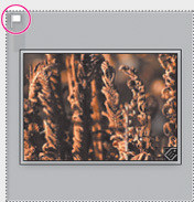 Porz�dkowanie i wybieranie zdj�� w Adobe Lightroom - Odnajdowanie i filtrowanie plik�w