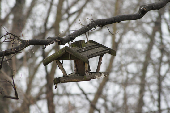 Wykorzystanie tryb�w tematycznych w lustrzance - Fotoszko�a Sony: Lekcja 1