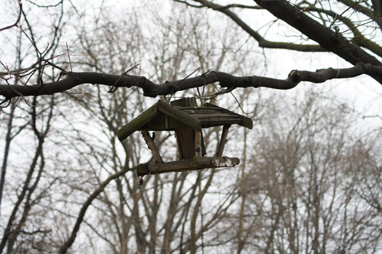 Wykorzystanie tryb�w tematycznych w lustrzance - Fotoszko�a Sony: Lekcja 1