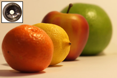 Wykorzystanie tryb�w tematycznych w lustrzance - Fotoszko�a Sony: Lekcja 1