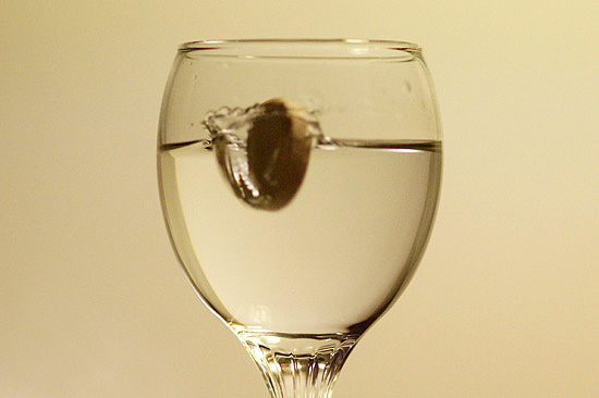 Wykorzystanie tryb�w tematycznych w lustrzance - Fotoszko�a Sony: Lekcja 1