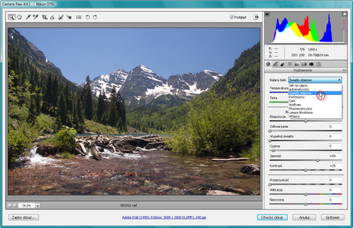 Zakl�cia Photoshopa - wywo�ywanie plik�w RAW - Korekcja balansu bieli
