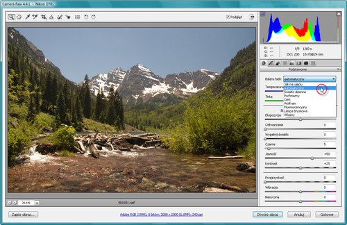 Zakl�cia Photoshopa - wywo�ywanie plik�w RAW - Korekcja balansu bieli