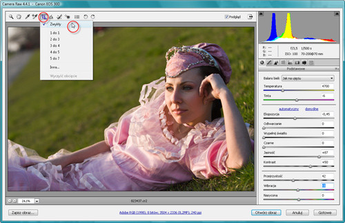 Zaklęcia Photoshopa - wywoływanie plików RAW - Kadrowanie zdjęć Zaklęcia Photoshopa - wywoływanie plików RAW - Kadrowanie zdjęć