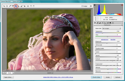 Zaklęcia Photoshopa - wywoływanie plików RAW - Kadrowanie zdjęć Zaklęcia Photoshopa - wywoływanie plików RAW - Kadrowanie zdjęć