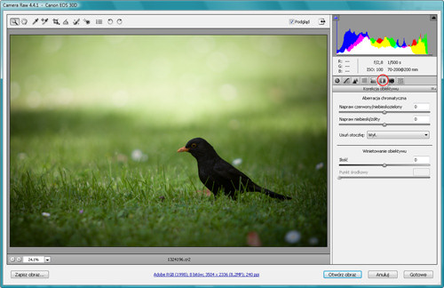 Zaklęcia Photoshopa - wywoływanie plików RAW - Korekcja winietowania Zaklęcia Photoshopa - wywoływanie plików RAW - Korekcja winietowania