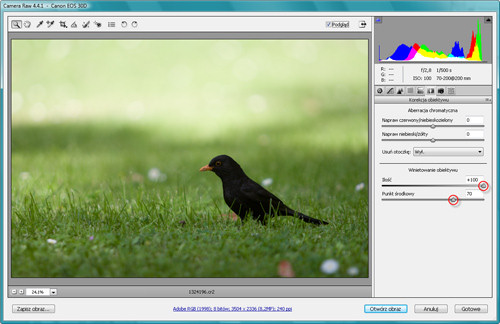 Zaklęcia Photoshopa - wywoływanie plików RAW - Korekcja winietowania Zaklęcia Photoshopa - wywoływanie plików RAW - Korekcja winietowania