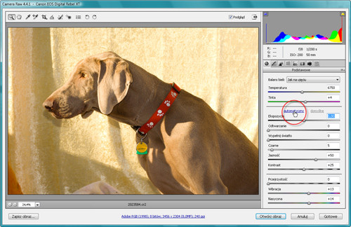 Zaklęcia Photoshopa - wywoływanie plików RAW - Automatyczna korekcja obrazów RAW Zaklęcia Photoshopa - wywoływanie plików RAW - Automatyczna korekcja obrazów RAW