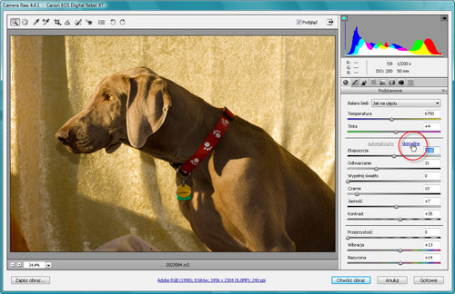 Zaklęcia Photoshopa - wywoływanie plików RAW - Automatyczna korekcja obrazów RAW Zaklęcia Photoshopa - wywoływanie plików RAW - Automatyczna korekcja obrazów RAW
