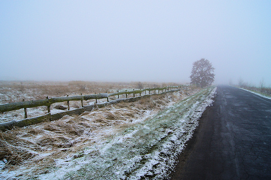 Wykorzystanie tryb�w tematycznych w lustrzance - Fotoszko�a Sony: Lekcja 1